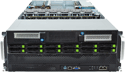 Model CX4860g-NVMe5-S12-X6H2(4424)